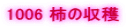 1006 �`�̎��n