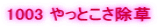 1003 ����Ƃ�������