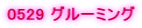 0529 �O���[�~���O