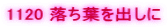 1120 �����t���o����