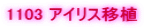 1103 �A�C���X�ڐA