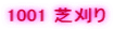 1001 �Ŋ���