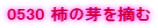 0530 �`�̉��E��