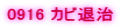 0916 �J�r�ގ�