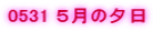 0531 �T���̗[��
