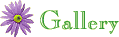 tHgM[