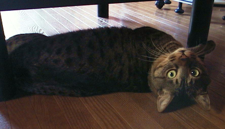 ^C