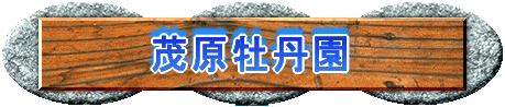 ΌO