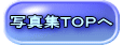 写真集ＴＯＰへ 