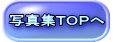 写真集ＴＯＰへ 