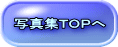 写真集ＴＯＰへ 