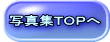 写真集ＴＯＰへ
