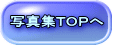 ʐ^Wsno