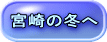 宮崎の冬へ