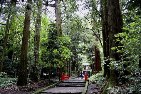 高原町　狭野神社