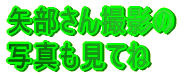 񂳂̎ʐ^