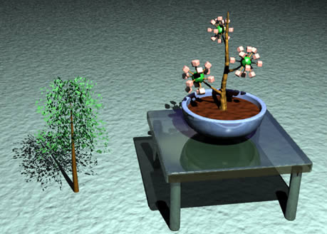 3D
