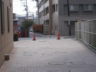 ʂ蓹