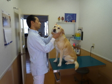 診察室