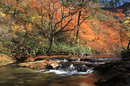 紅葉の桃洞滝