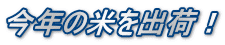 今年の米を出荷！