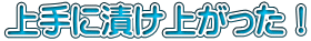 上手に漬け上がった！