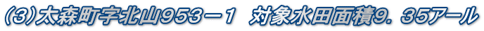 （３）太森町字北山９５３－１　対象水田面積９．３５アール