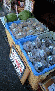 さといも　キャベツ