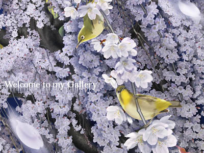 CG�C���X�g�M�������[