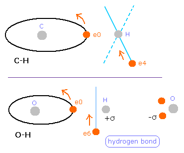 hydrogen-bond