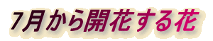 7JԂ 