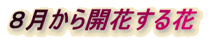 WJԂ
