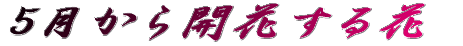 TJԂ 