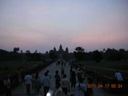 �A���R�[�����b�g