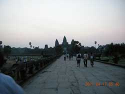 �A���R�[�����b�g