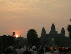 �A���R�[�����b�g