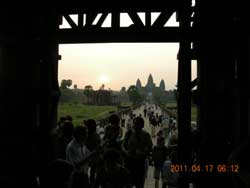 �A���R�[�����b�g