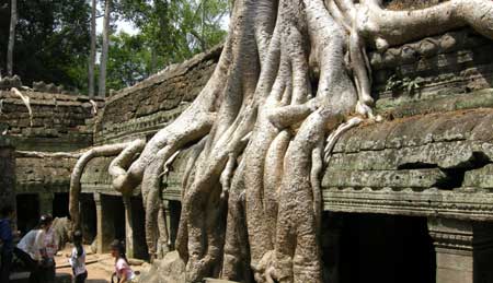 �^�E�v���[��