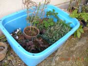 ���Ԃ�e��ɓ����