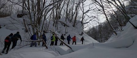 �n�C�L���O