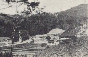a16N