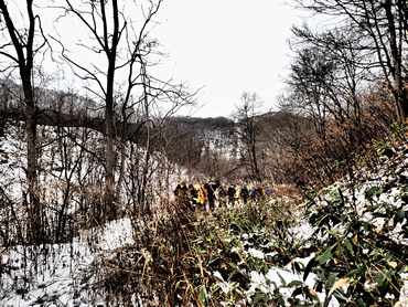 �n�C�L���O