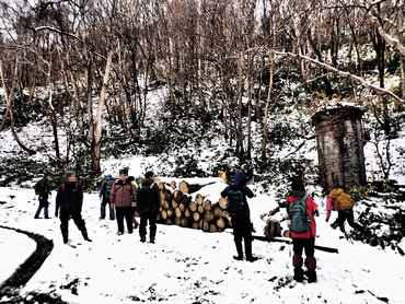 �{�C���[�{��