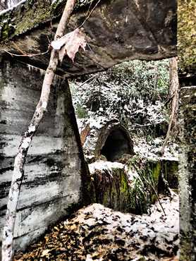 �t�@���h���t�g