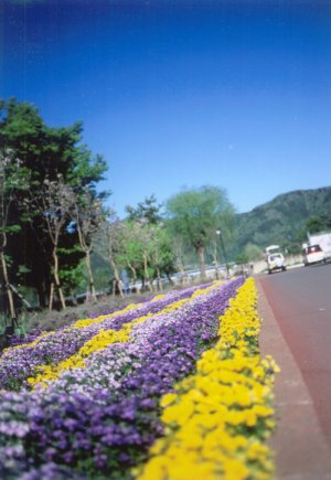 とある風景09