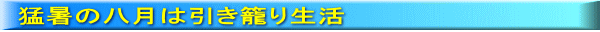 猛暑の八月は引き籠り生活