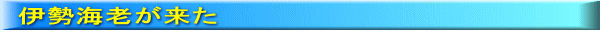 伊勢海老が来た