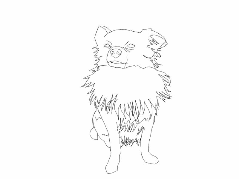 4.bmp - 家の愛犬コテツを描いてみた。