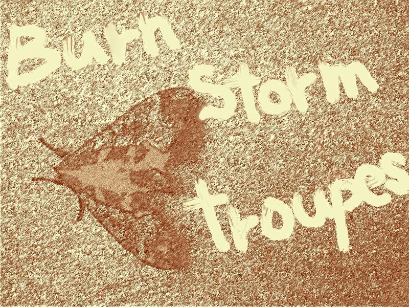 burn-storm-troupes.jpg - 自分のバンド"Burn Storm Troupes"のロゴにしようかなと思って作りました。