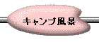 Lvi